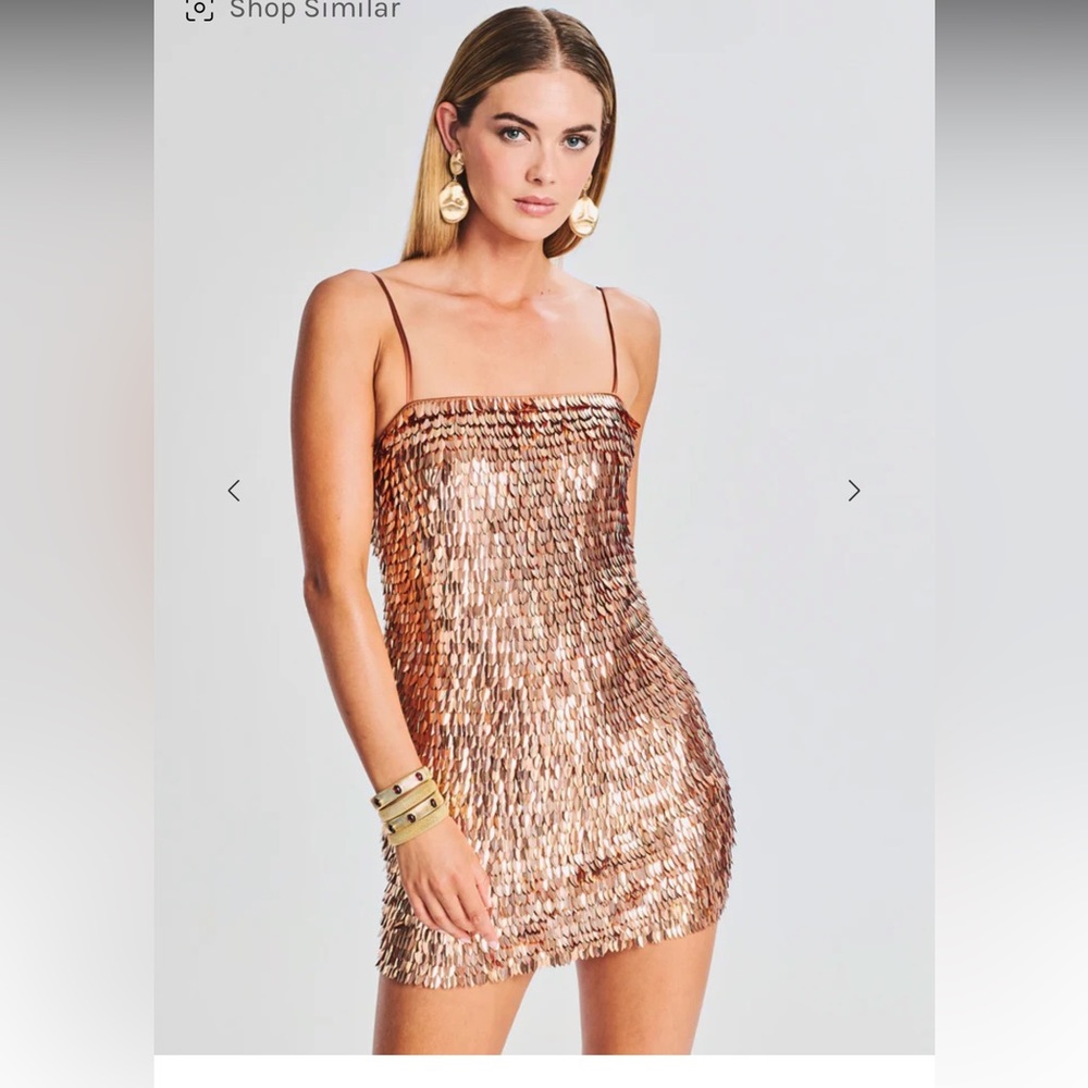 Retrofete Nara feather sequin dress